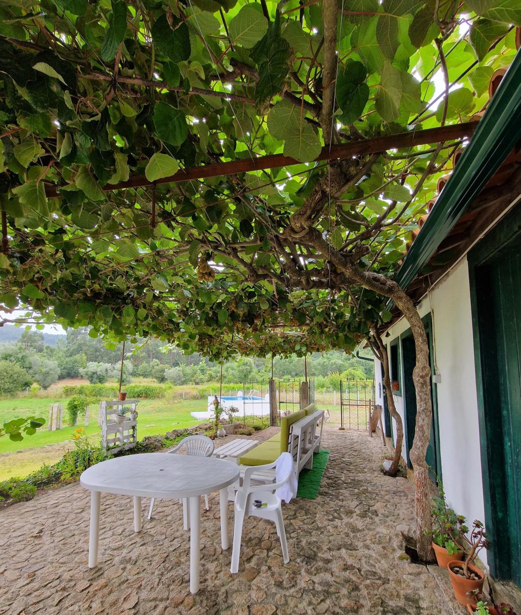 Willa Casa Do Pinheiro Manso Valenca Zewnętrze zdjęcie