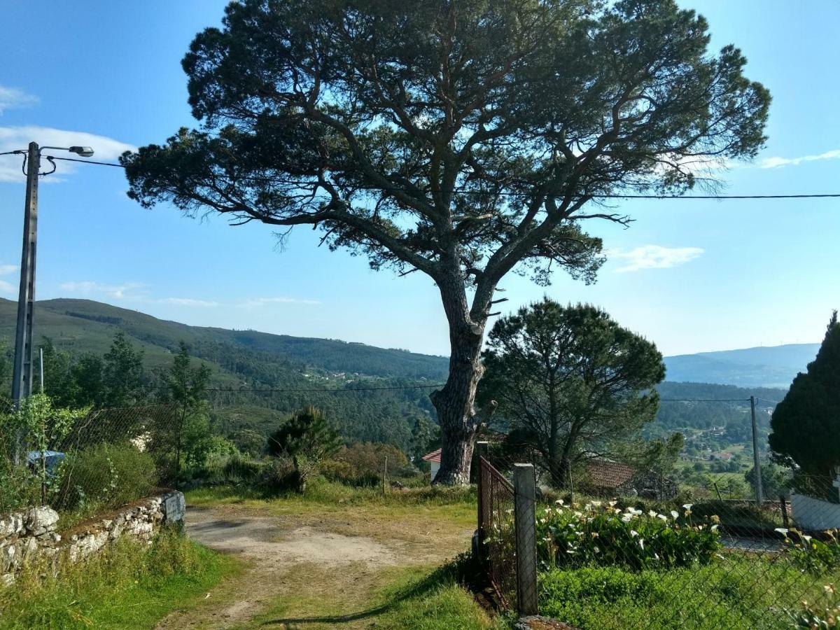 Willa Casa Do Pinheiro Manso Valenca Zewnętrze zdjęcie
