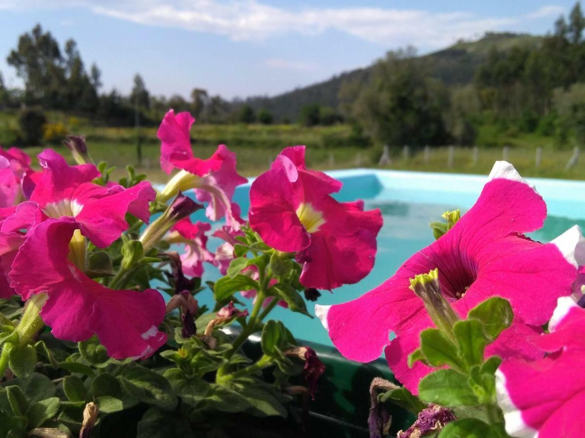 Willa Casa Do Pinheiro Manso Valenca Zewnętrze zdjęcie
