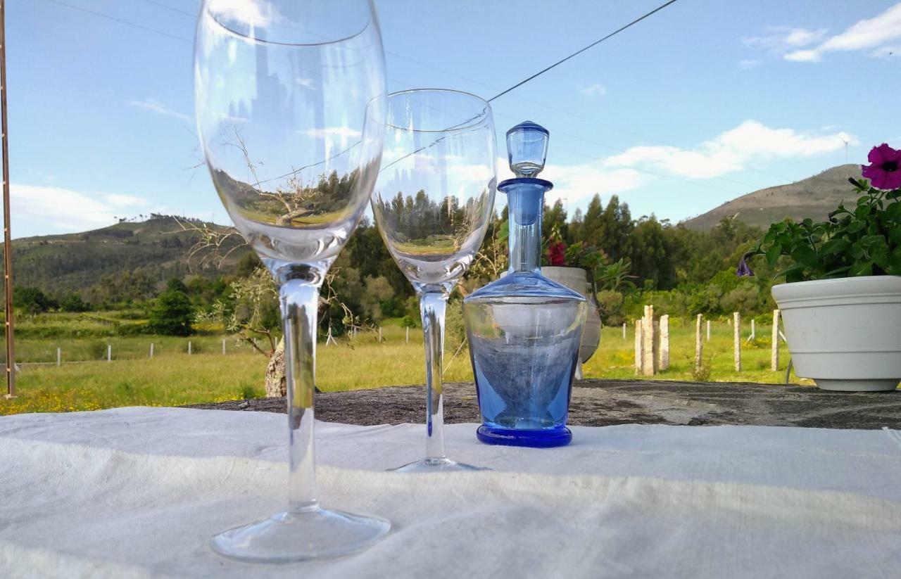 Willa Casa Do Pinheiro Manso Valenca Zewnętrze zdjęcie